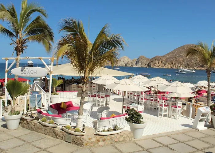 1 King Suite, In The Heart Of Cabo Cabo San Lucas